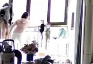 猫咪从16楼意外坠落,猫咪从16楼跳下去会不会摔死？