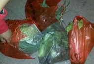 女子半夜偷菜赔2千,女子半夜偷菜赔2千块钱