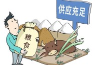 人均粮食占有量1000斤,