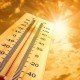 40℃高温要来了,40℃高温要来了池塘水达到271PPm有没有影响