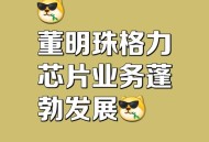 董明珠卸任格力芯片,董明珠做芯片成功了吗？