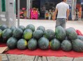 商家互砸西瓜丢荔枝,把不是同一类的词语圈出来。丝瓜、西瓜、苹果、茘枝、香蕉？