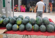 商家互砸西瓜丢荔枝,把不是同一类的词语圈出来。丝瓜、西瓜、苹果、茘枝、香蕉？