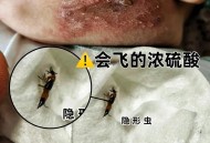 多地现行走的硫酸,河南多地现行走的硫酸