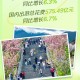 出游人次32.85亿,什么是旅游人次？