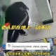 老人摔倒家属投诉,老人摔倒家属投诉电话