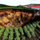 哈尔滨2.4级地震,哈尔滨2.4级地震预警