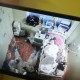 士兵在洛杉矶睡地板,一部电影，男女主人公：莎拉，伊森。有龙！好像是一群怪物到一城市来找那女孩？