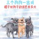 7岁男孩遭3只犬撕咬,7个香肠分给3个小狗怎么分？