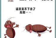 酒店早餐吃出蒸蟑螂,室内敌敌畏熏蒸杀灭蟑螂方法？