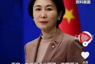 美中情局招中国间谍,中情局特工唐奈哪一年被抓？