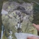 云南滇池现鱼跳龙门,滇池跳水