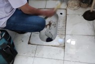 街头下水道爬出女子,家里下水道爬出蚂蝗怎么办？