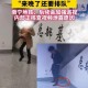 男子频繁30秒如厕,男子频繁30秒如厕视频