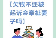 5任前妻都是债主,丈夫去世后债主上门逼债，无助的妻子该怎么办？