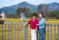 游客踩稻田跳舞拍照,游客踩稻田跳舞拍照图片