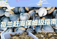 台风后遍布生蚝蛤蜊,为什么台风过后生蚝会瘦