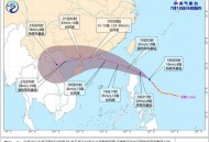 韦帕将正面袭击广东,韦帕公司