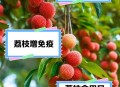 空腹吃荔枝得荔枝病,空腹吃荔枝真的会死亡吗？有什么科学依据吗？