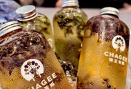 霸王茶姬出咖啡了,霸王茶姬用的哪一款咖啡奶？