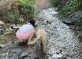 打工回家后儿子丢了,因为生活，把孩子丢在老家选择打工，如今孩子和我一点都不亲，不和我交流，咋办呢？