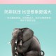 翻8吨垃圾找手表,小天才手表内存清理步骤Z1？