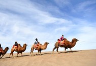 敦煌鸣沙山又堵骆驼,敦煌鸣沙山骆驼行走图片