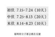 30天三伏天将开启,入伏有30天的吗？