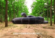 老人被巨蟒吞食而亡,听农村老人说，王蟒蛇最长可长20米，真的有这么长吗？不小心被咬了还有救吗？
