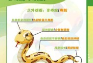 遇蛇大叫把蛇吓跑了,遇蛇大叫把蛇吓跑了什么意思