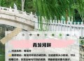用个人码收千万门票,滦州古城好玩吗，交通方便吗？