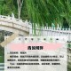用个人码收千万门票,滦州古城好玩吗，交通方便吗？