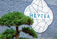 喜茶偷偷调整了logo,商标喜茶标志什么意思？
