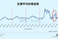中美停24%关税90天,猪价反弹，是迎来拐点还是回光返照？
