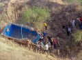 坠谷生还后被烧死 ,家里出现印度谷螟怎么清除，急？