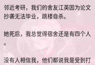 政府稿件被质疑抄袭,室友抄袭我的英语稿子，我应该对室友生气吗？