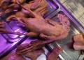 河南热死了5只大鹅,鸭子能耐多少度高温？