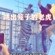 带娃坐索道被停半空,老虎吊在半空中滑下去打一个成语？