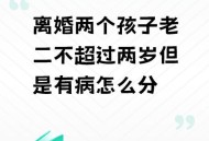 为二胎跟谁姓离婚,二胎怀的是别人的怎么离婚？