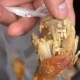 顾客发现桌上有蛆,为什么桌子上会有白色的蛆？
