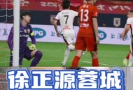 国足代理主教练,国足聘请徐正源为主帅有可能吗？