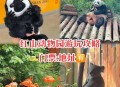 红山动物园门票涨价,南京红山动物园门票？