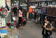 男子街头遛猪引围观,遛猪什么意思？