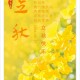 今日立秋要做这些事,今天立秋是什么意思？