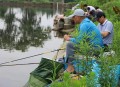 钓到鳄鱼拎进派出所,非凡的大多数怎么钓到鳄鱼仔？