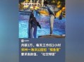 月薪3万招摸鱼官,高薪摸鱼