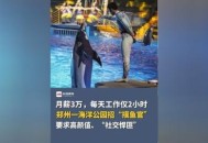 月薪3万招摸鱼官,高薪摸鱼