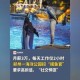 月薪3万招摸鱼官,高薪摸鱼