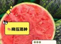 整车西瓜被冰雹砸烂,前天一场冰雹把西瓜苗瓜藤打断了，夏天还会挂果吗？