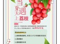 吃2颗荔枝测出酒驾,吃2颗荔枝测出酒驾怎么办